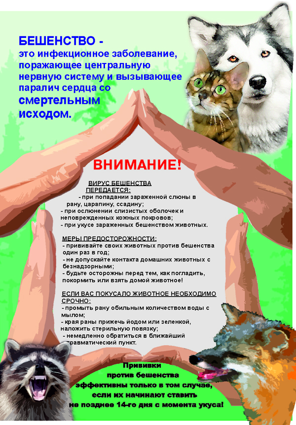 beshenstvo_0.jpg
